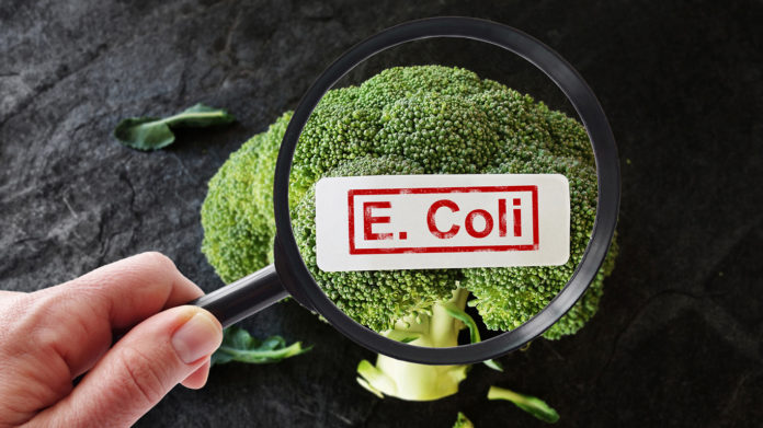 E Coli contamination