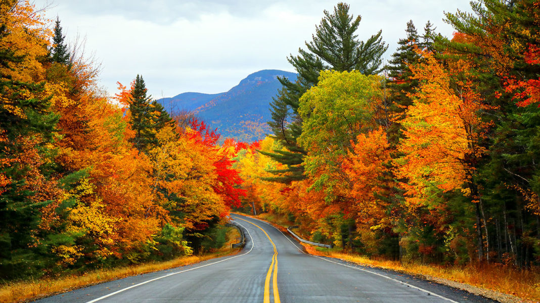 The Best Fall Foliage in Every State 24/7 Tempo