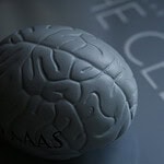 Alcohol kills brain cells