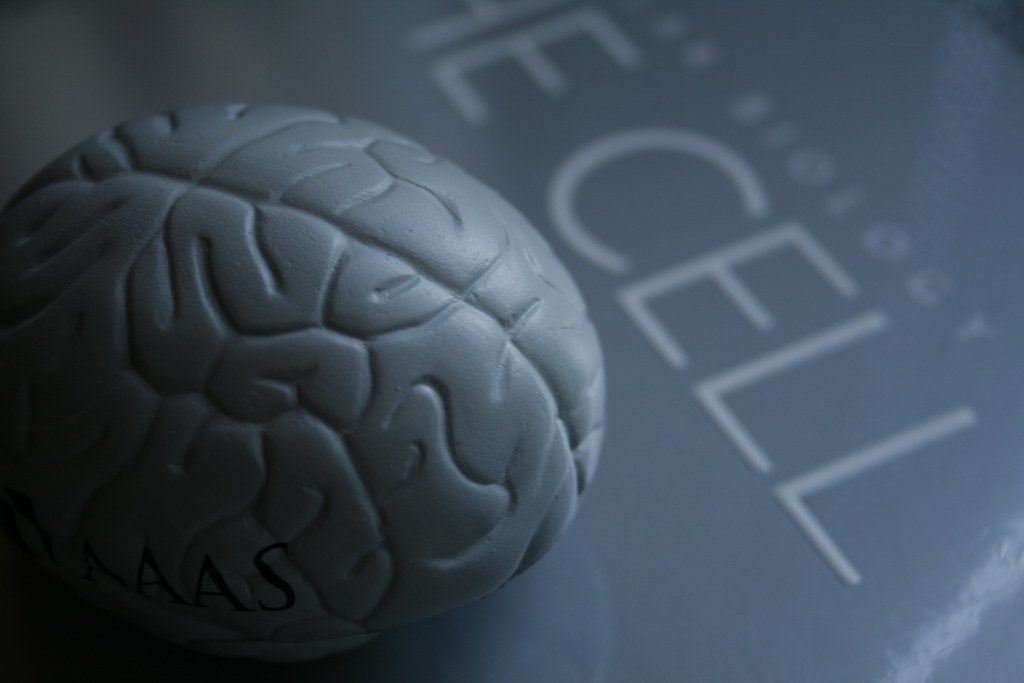 Alcohol kills brain cells