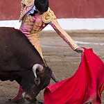 Bulls hate red