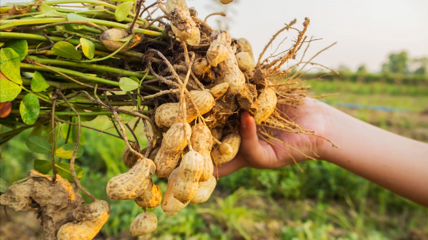 Peanuts are a type of nut