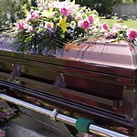 Every living thing dies