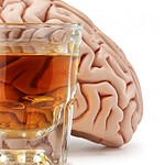 40 Completely False "Facts" You Probably Still Believe Today
