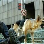 15 Movie Endings That Left Audiences Furious, Confused, or Both
