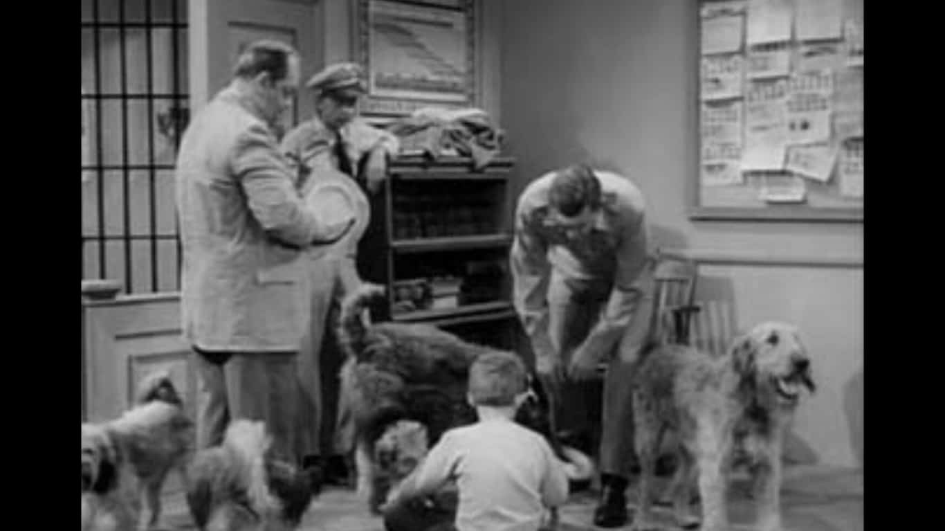 47. The Andy Griffith Show (1960-1968)