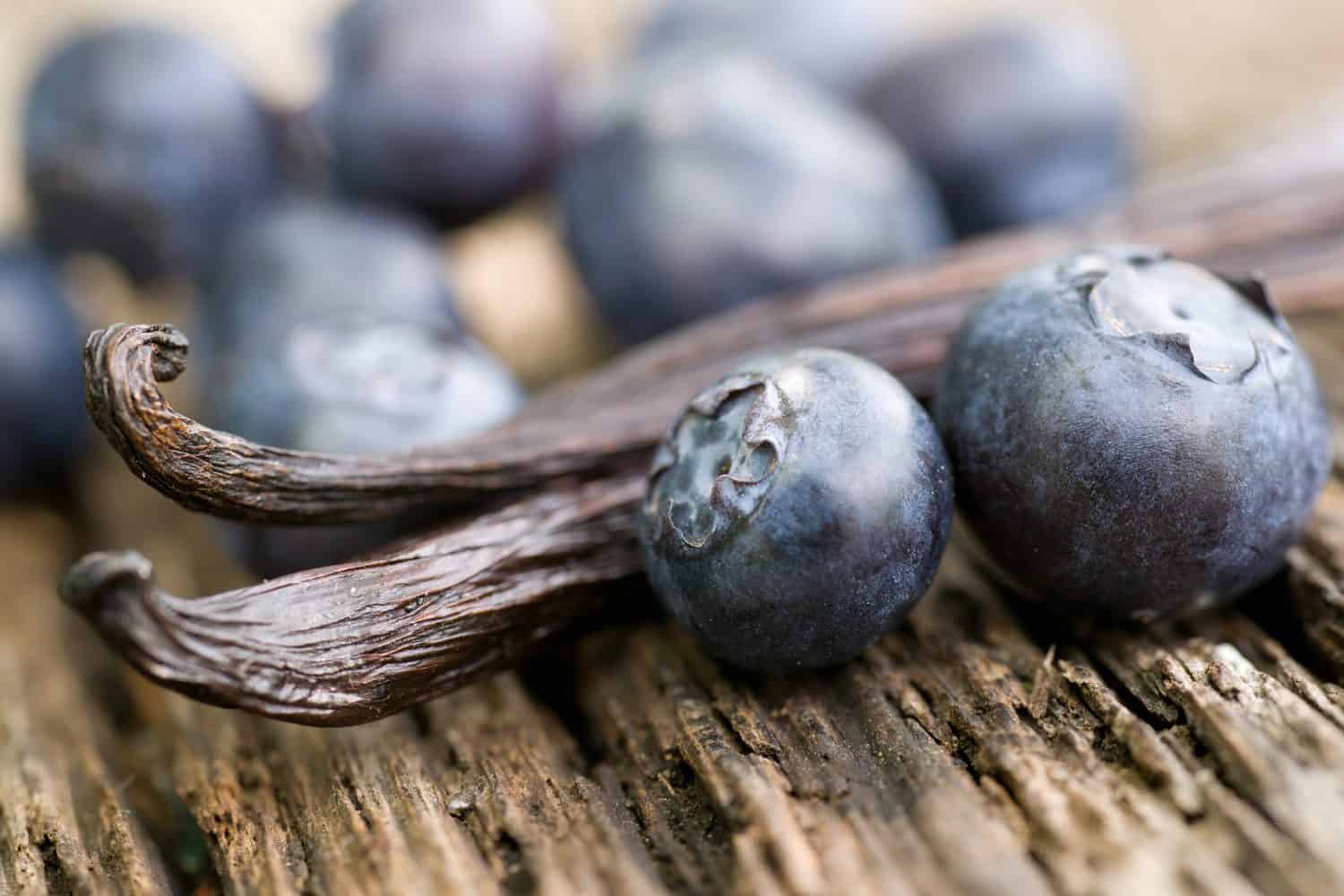 Vanilla beans and blueberries