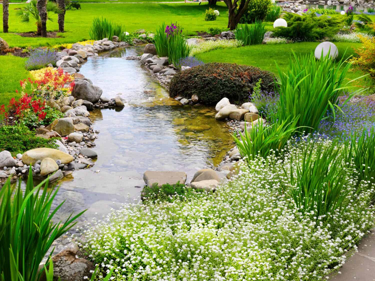 Spring flowers in the Asian garden with a pond