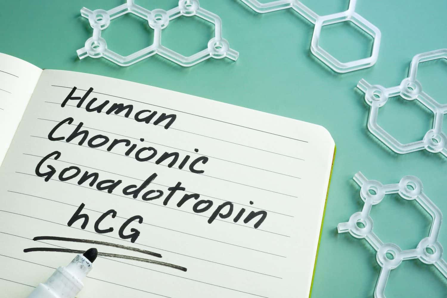 Human Chorionic Gonadotropin hCG written on the page.