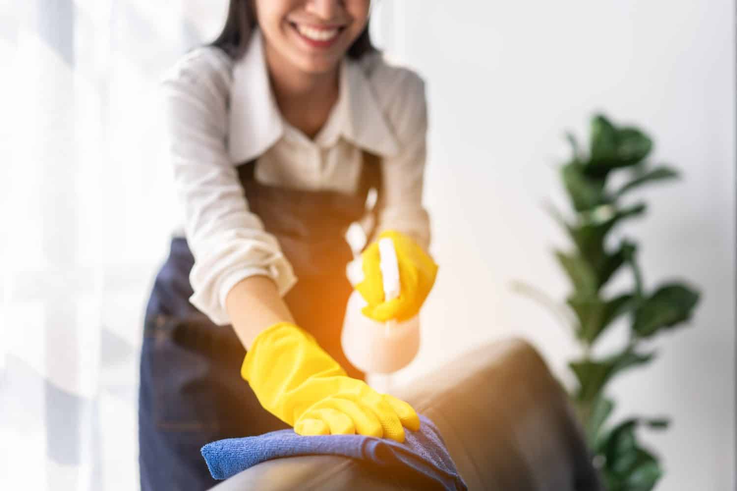 Housewife in apron wearing gloves to spraying hygiene spray on the couch and using microfiber fabric to wiping cleanup furniture while working and cleaning in the house.