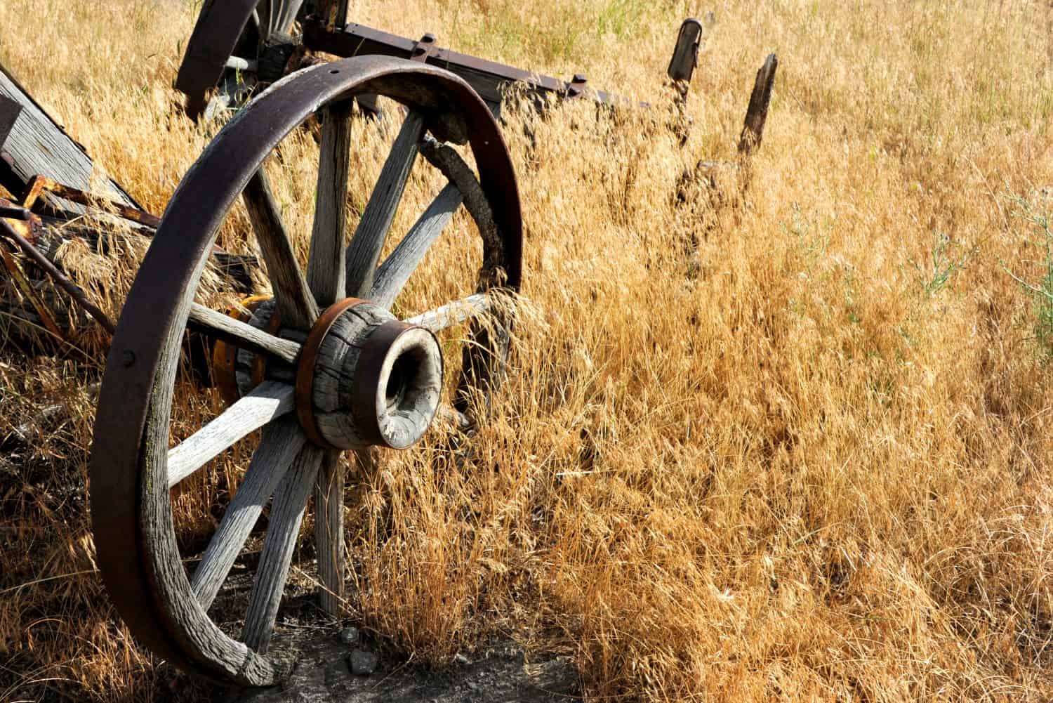 Wagon wheel axles lay rotting in a field. Wheels have metal staves and wooden hubs and spokes. Wagon lays in a field in Wyoming.