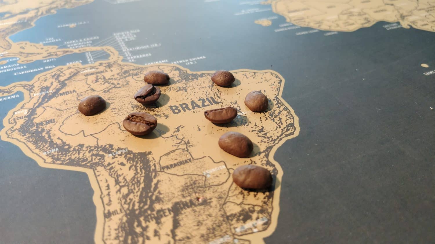 Brazil map with coffee beans