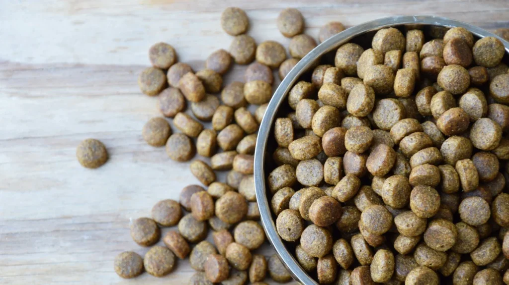 Pet food