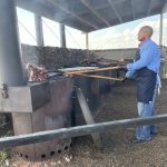 North Dakota: Pitchfork Steak Fondue, Medora