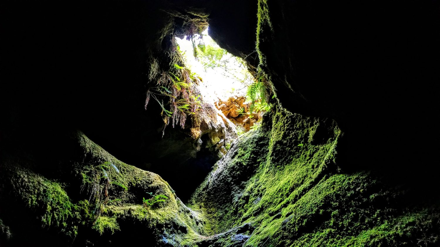 Cave opening at Ape Caves Washington