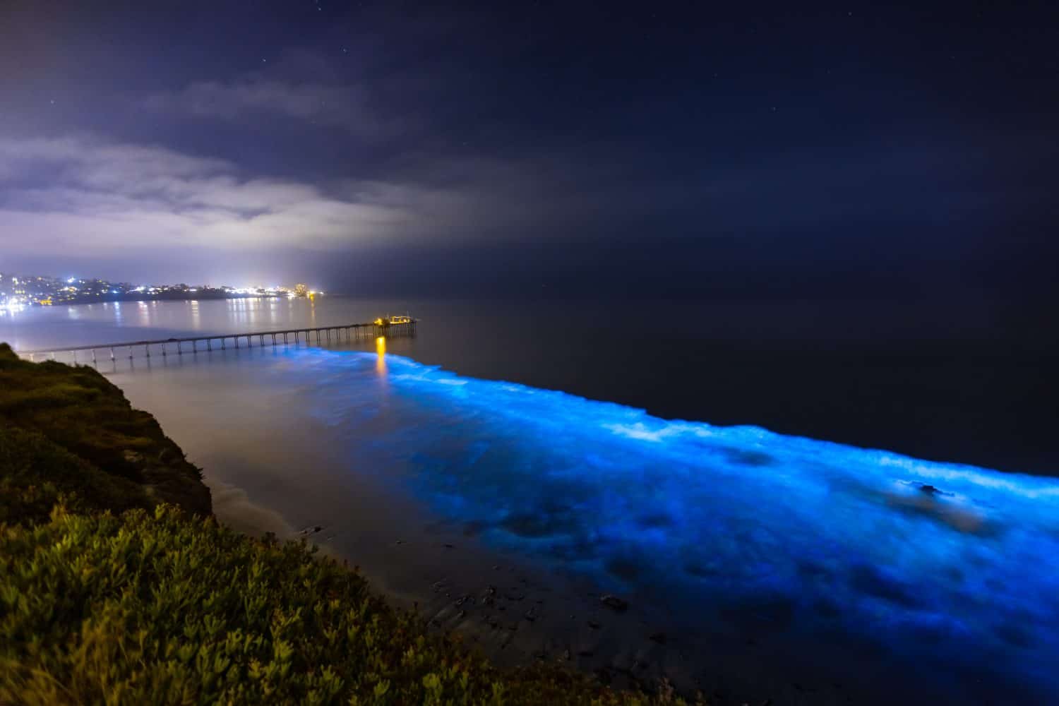 Bioluminescence at San Diego Coast
