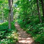 2. Appalachia Trail