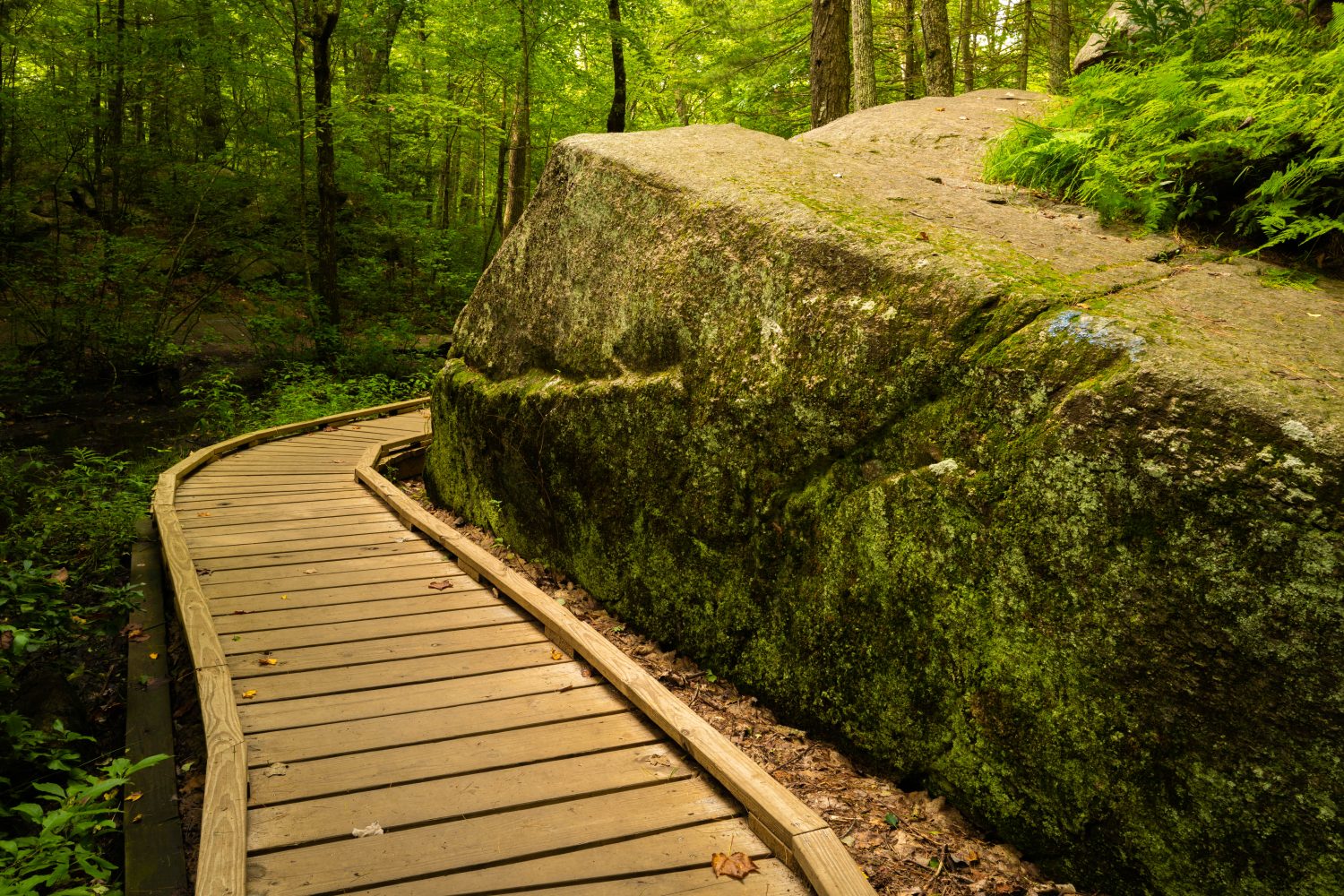 Boardwalk along the glacial rocks in the forest at Purgatory Chasm Park in Massachusetts. Curved footpath in the state preservation in New England.