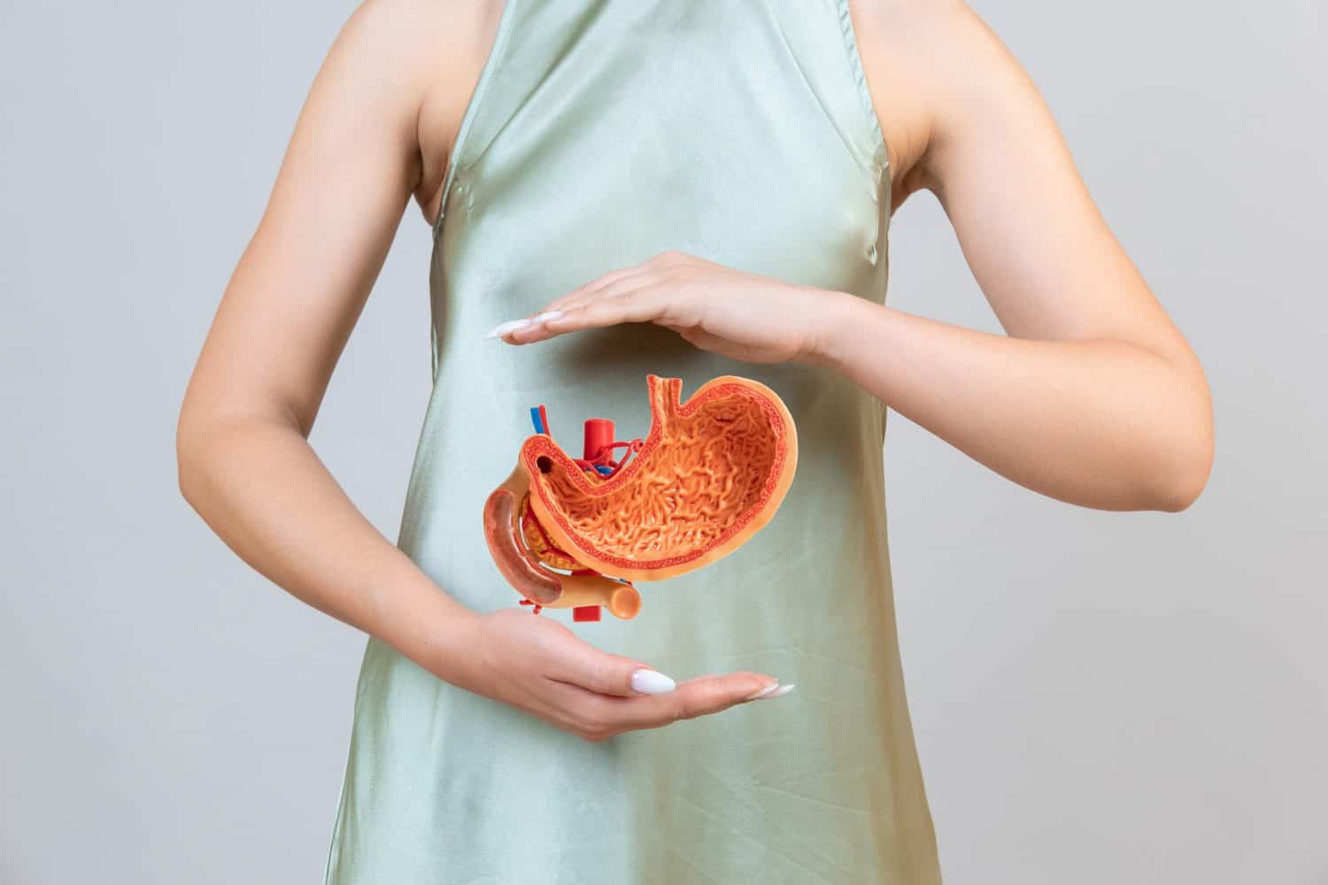 woman is holding mock stomach in the hands. Help and care concept