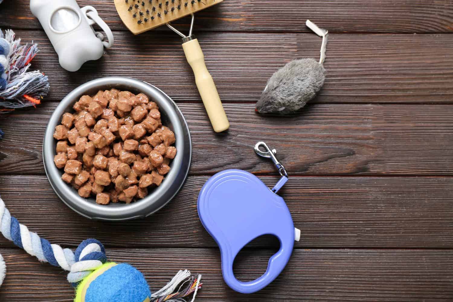 Composition with bowl of wet food and pet care accessories on wooden background