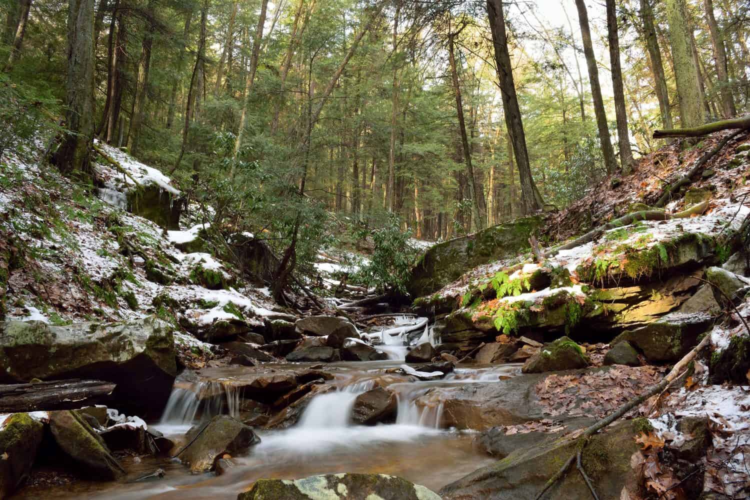 Fast Flowing Mountain Stream In The Appalachian Mountains Of Pennsylvania
