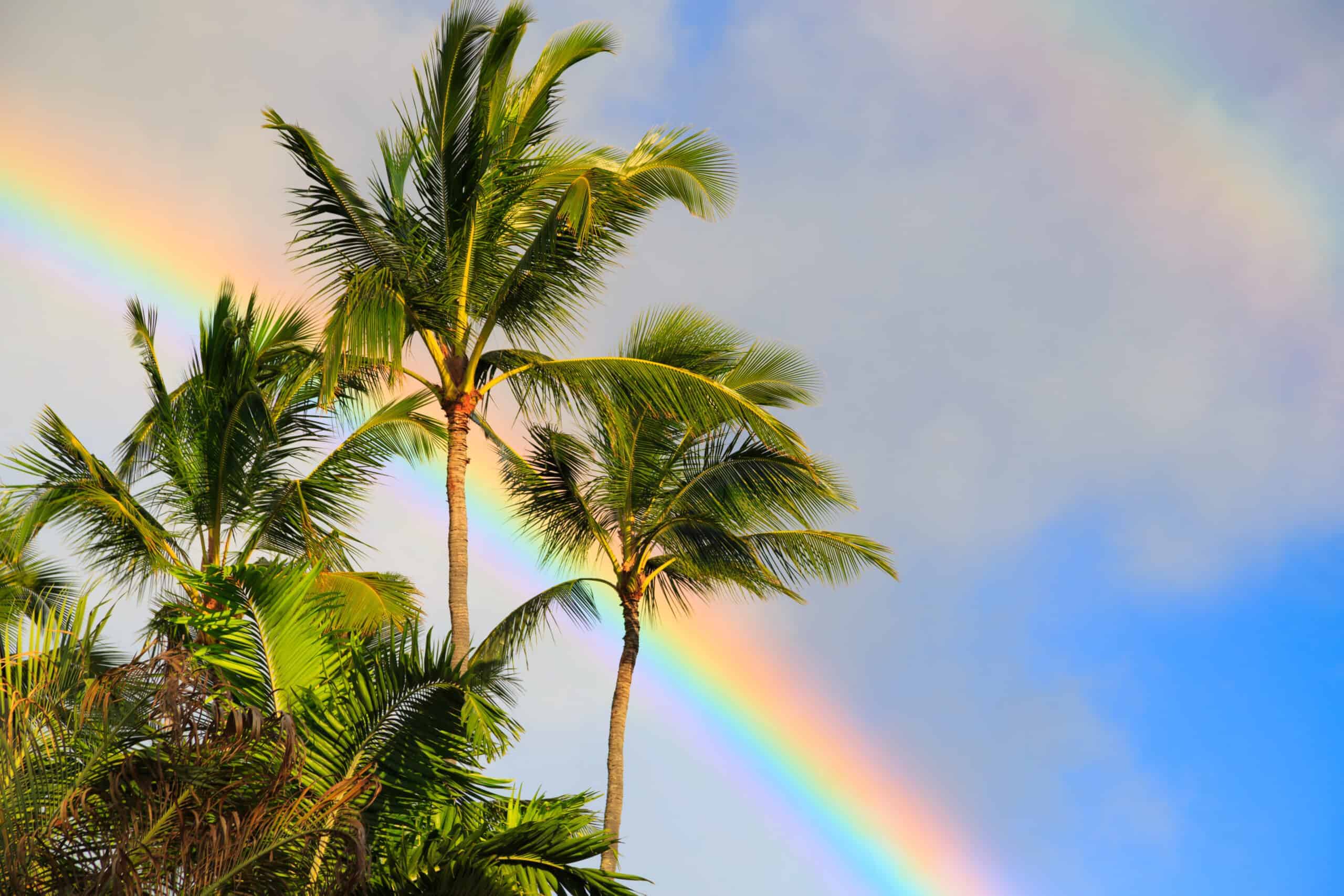 Kauai Hawaii rainbow