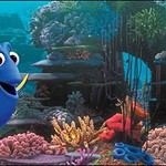 39. Dory