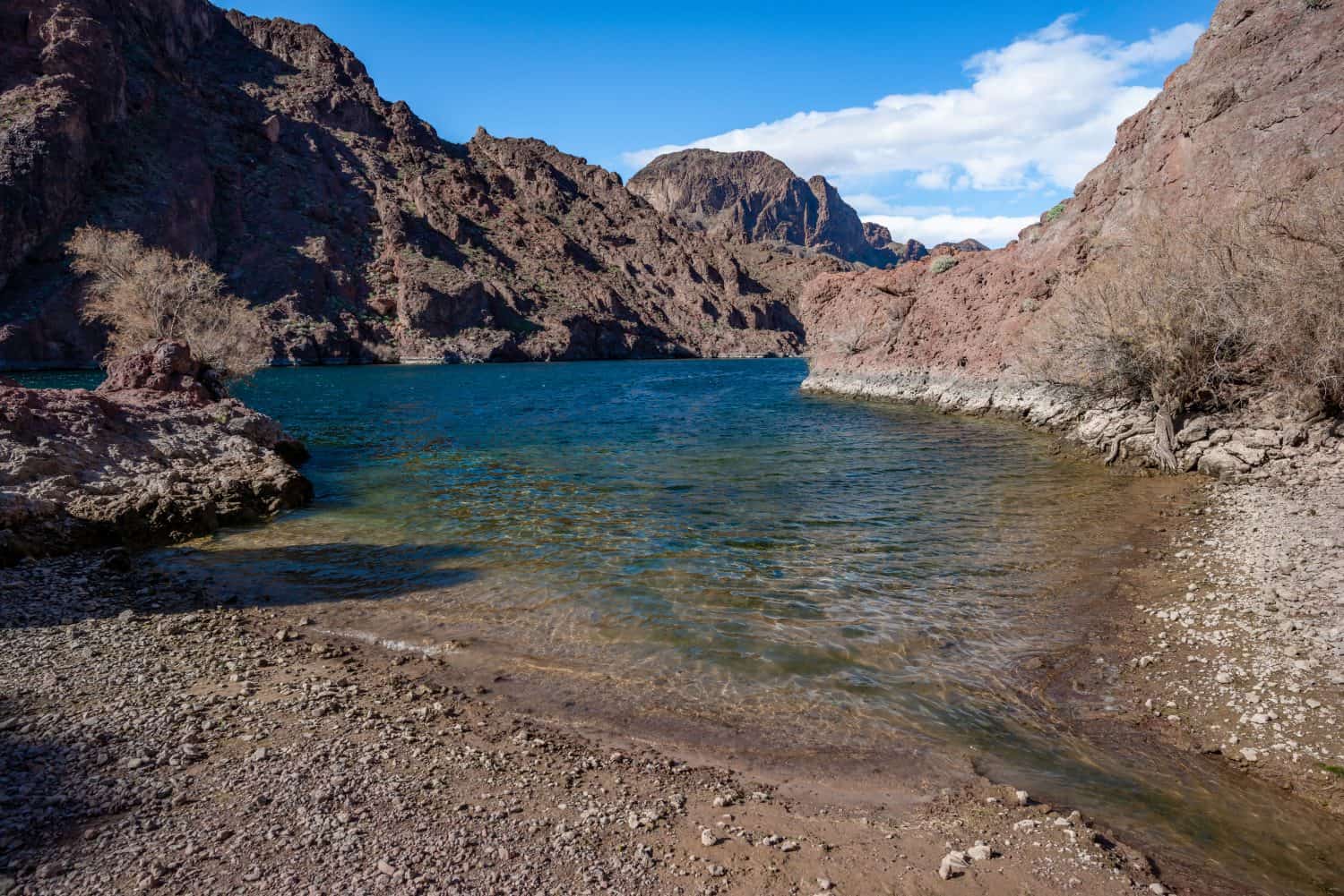 USA, Arizona, Mohave County, Lake Mead National Recreation Area. Water from Arizona Hot Spring flowing into Colorado River near White Rock Canyon