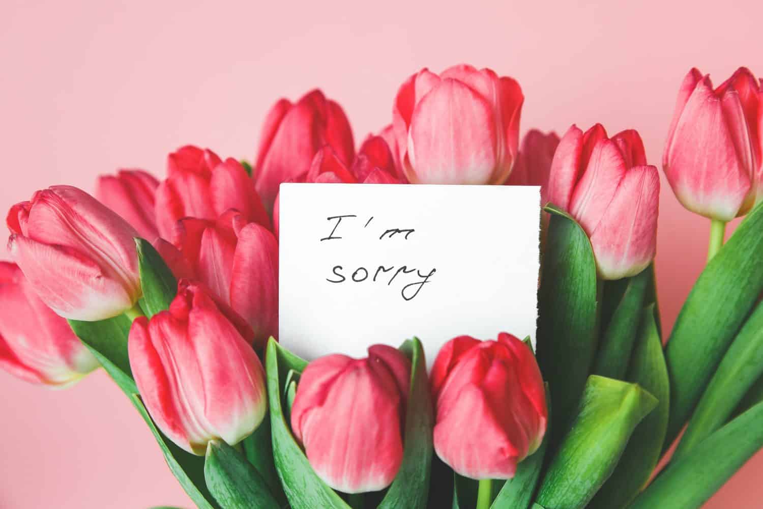 white card with the inscription text i am sorry in a bouquet of beautiful tulips, the concept of apologies.
