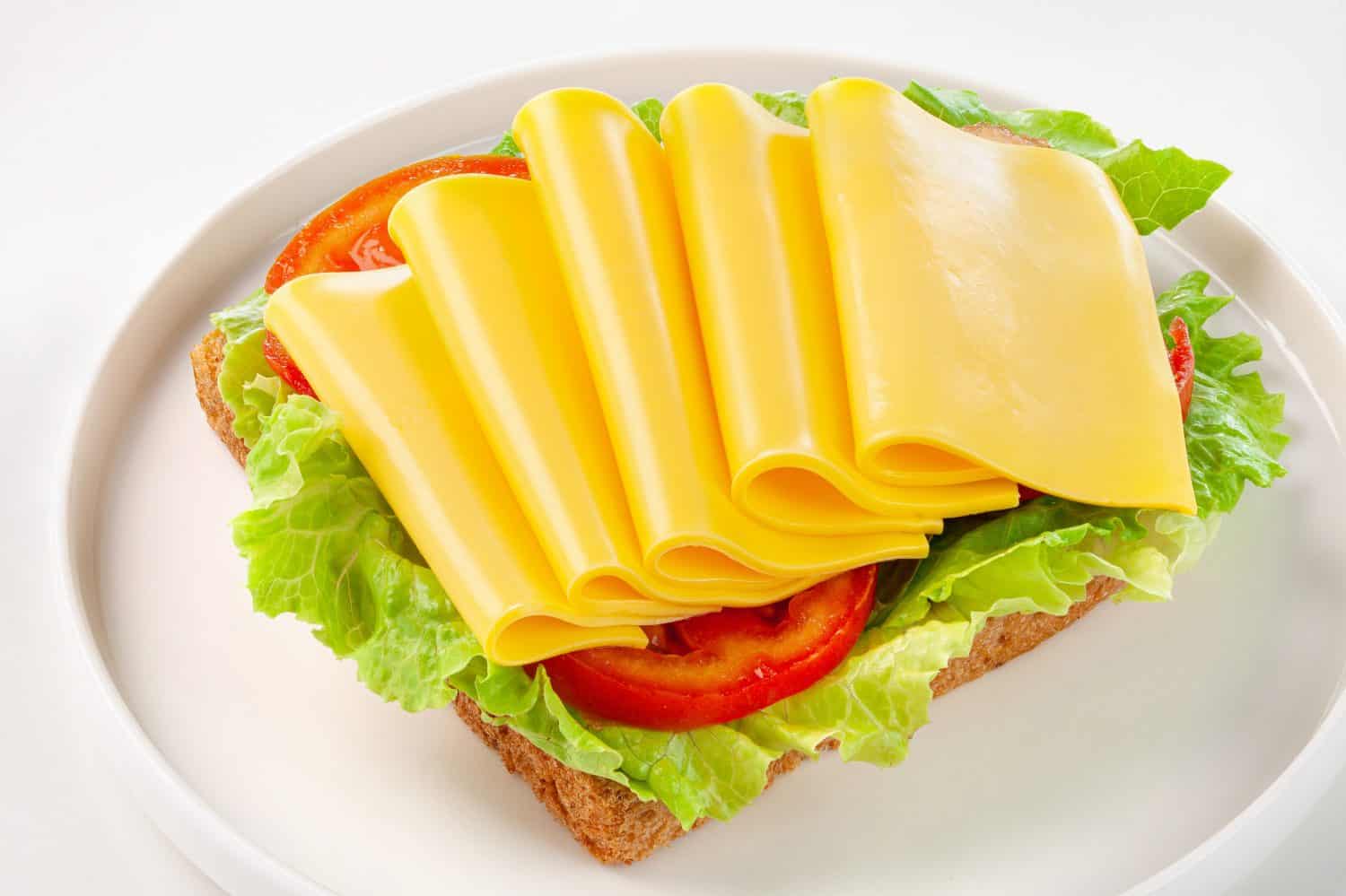 cheese slices and tomato sandwich on a white plate.