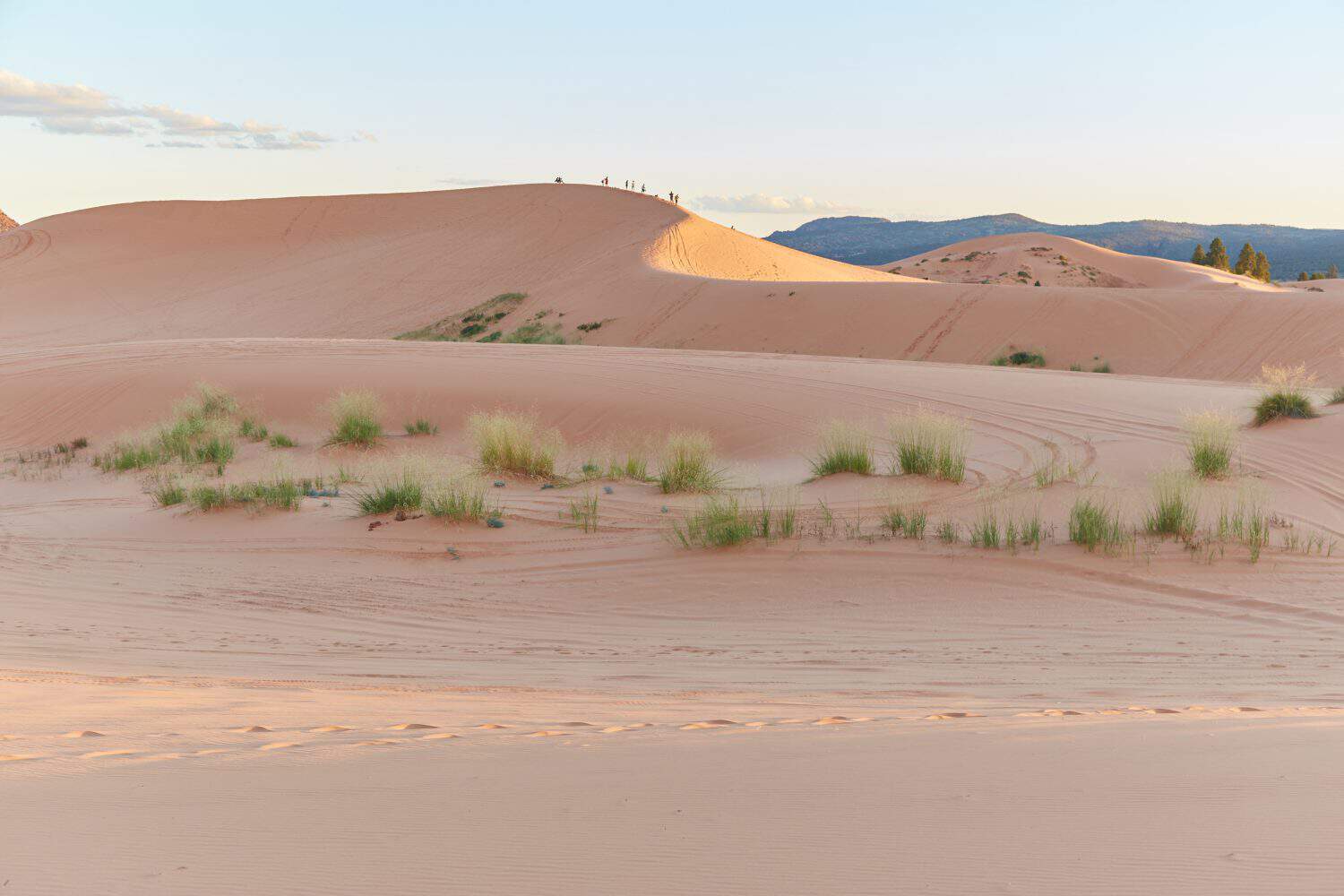 The stunning Coral Pink Sand Dunes State Park in southern Utah