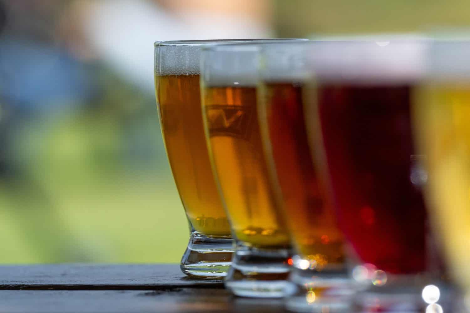 A row of small curved tulip shaped sample glasses of pale ale beer with froth on the top. The liquid alcohol has a vibrant yellow tint. The glasses are on a wooden table with circles.