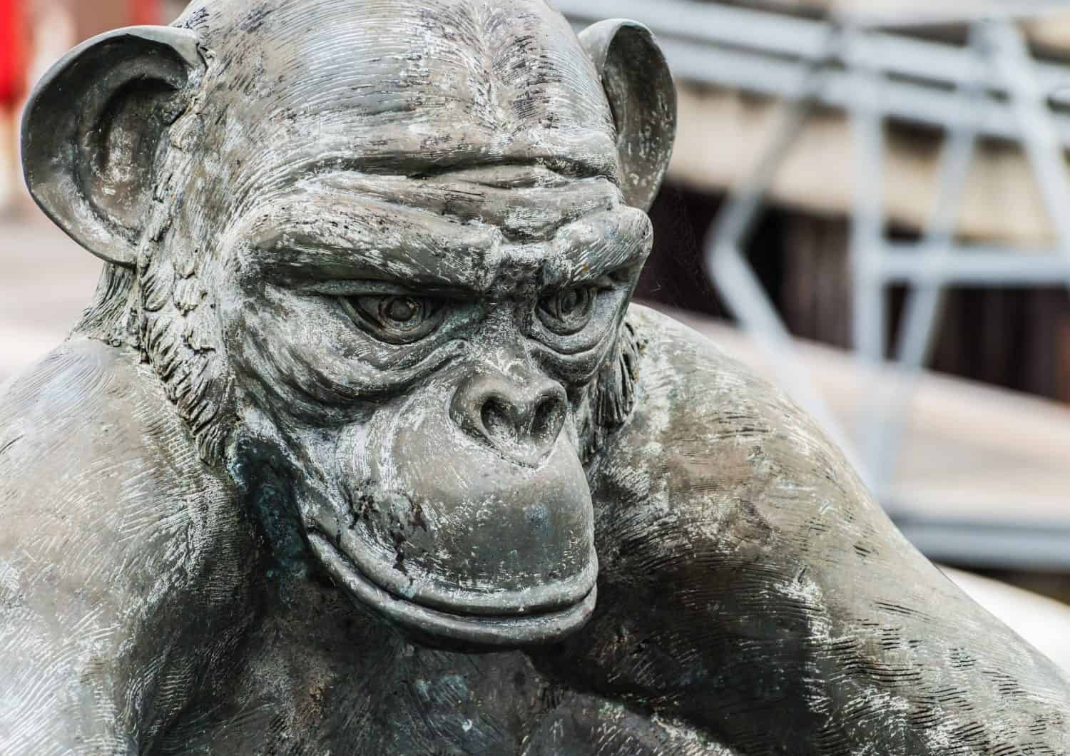 A shot of a wishing well, sculpted as a monkey, at Hartlepool marina, UK.
