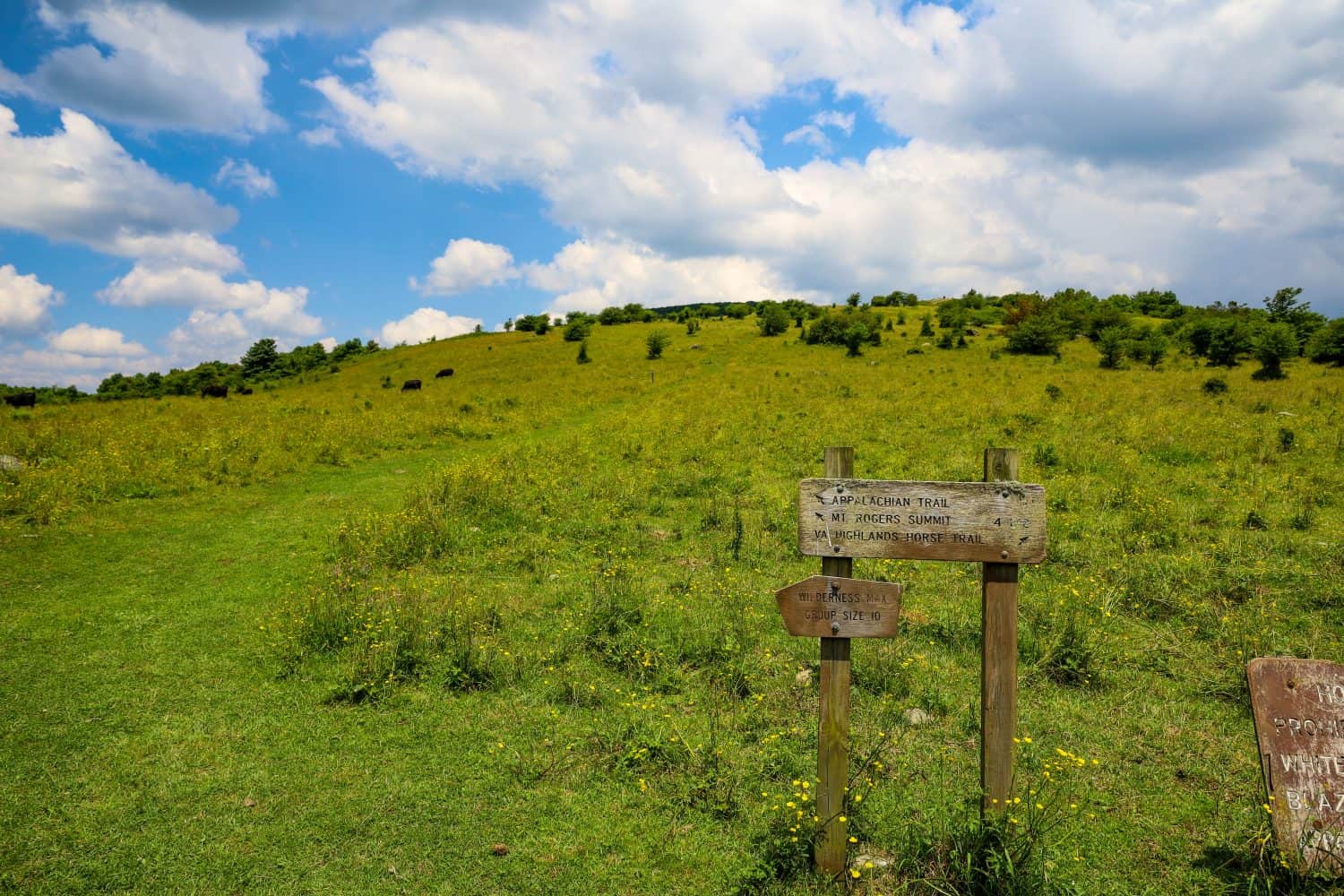 Appalachian Trail sign in Mount Rogers, Virginia