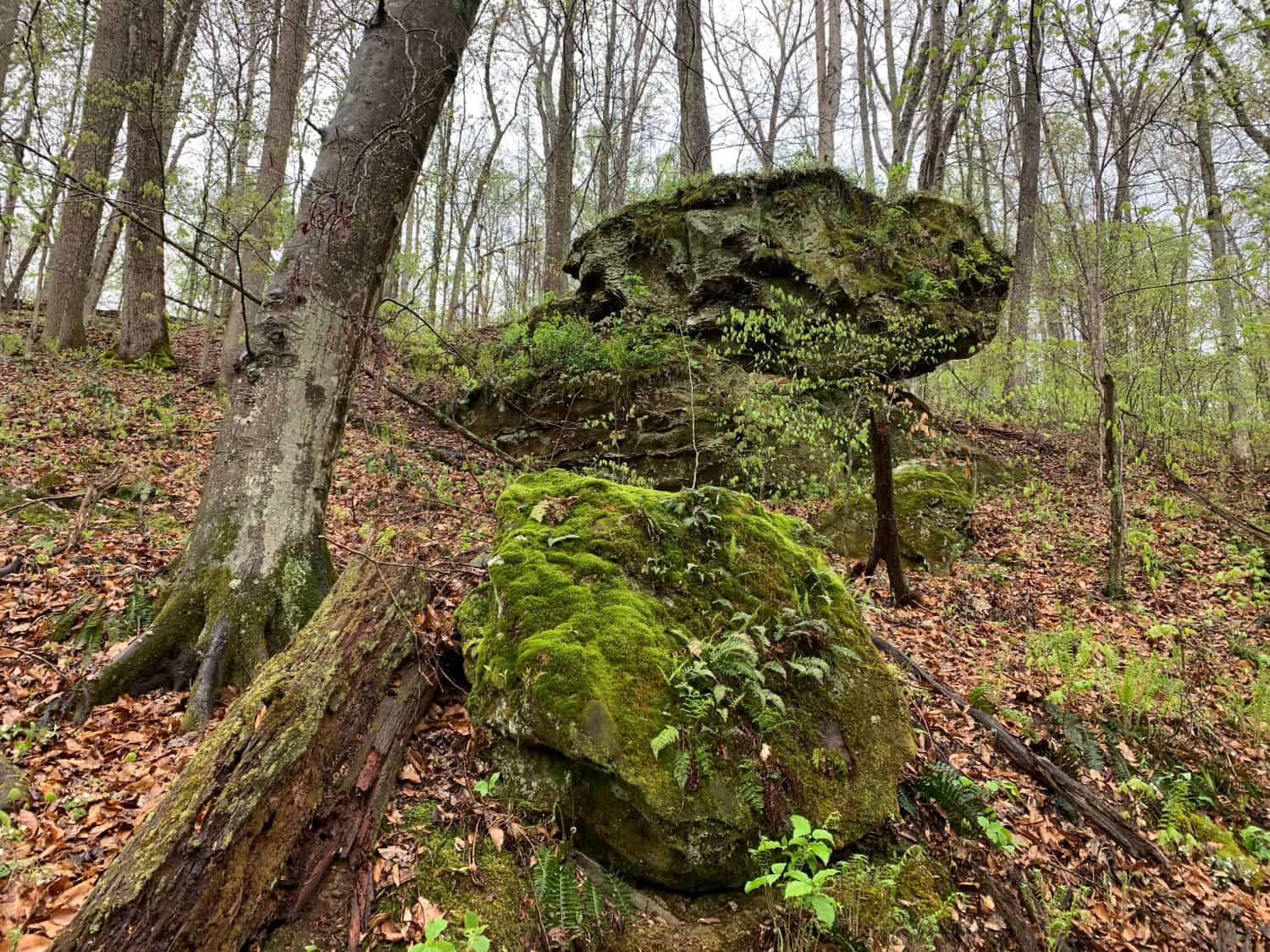 A balanced sandstone boulder stands on a forested bluff in Indiana.