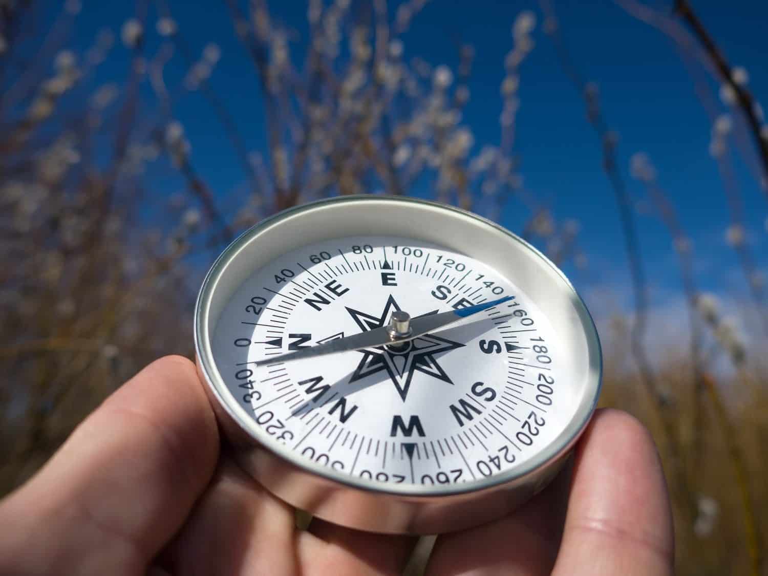 Winter-spring hiking (spring independent travel in forest and river, willow catkins), camping equipment - follow the compass (shoot an azimuth), trail orienteering (explaining the ground)