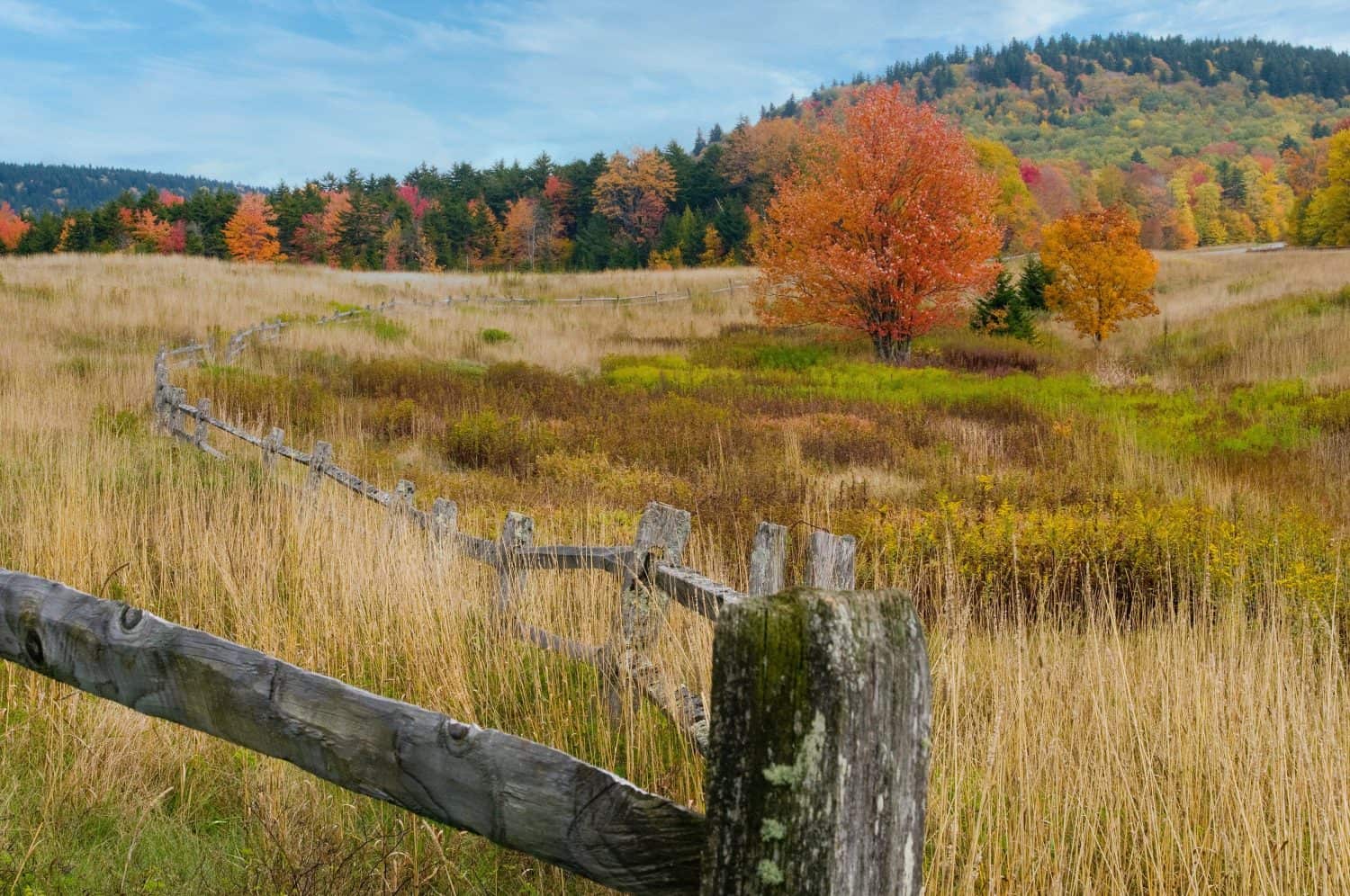 A West Virginia fall landscape along the highland scenic highway in Monongahela National Forest. A weathered wooden fence runs through the frame leading the eye to the mountains in the background.