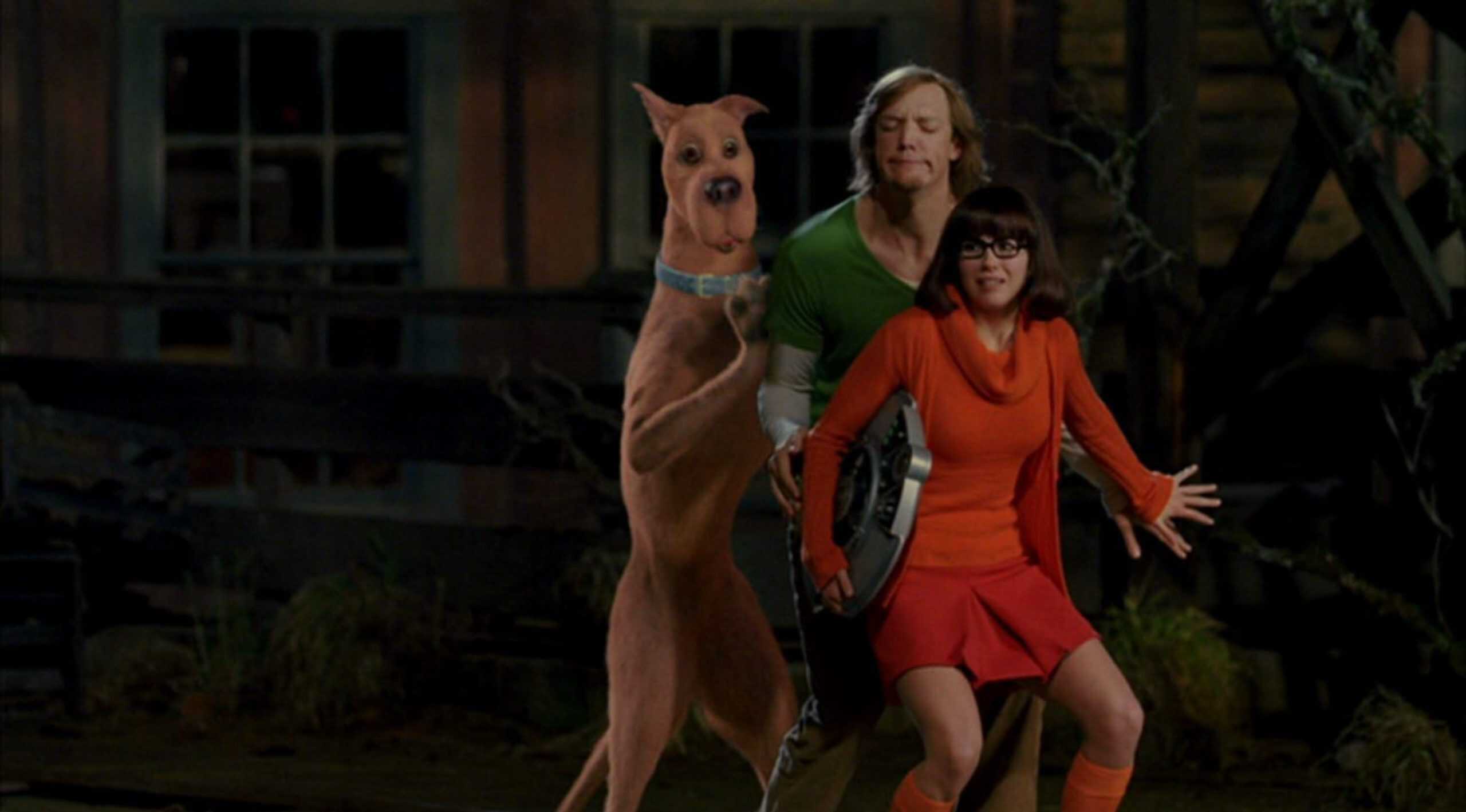 Shaggy