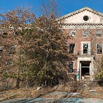 Forest Haven (Continued)