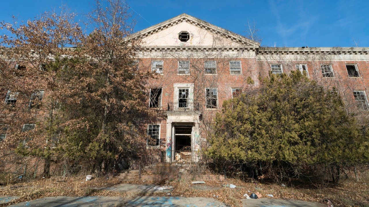 Forest Haven (Continued)