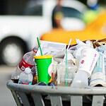 Plastic in Our Bodies