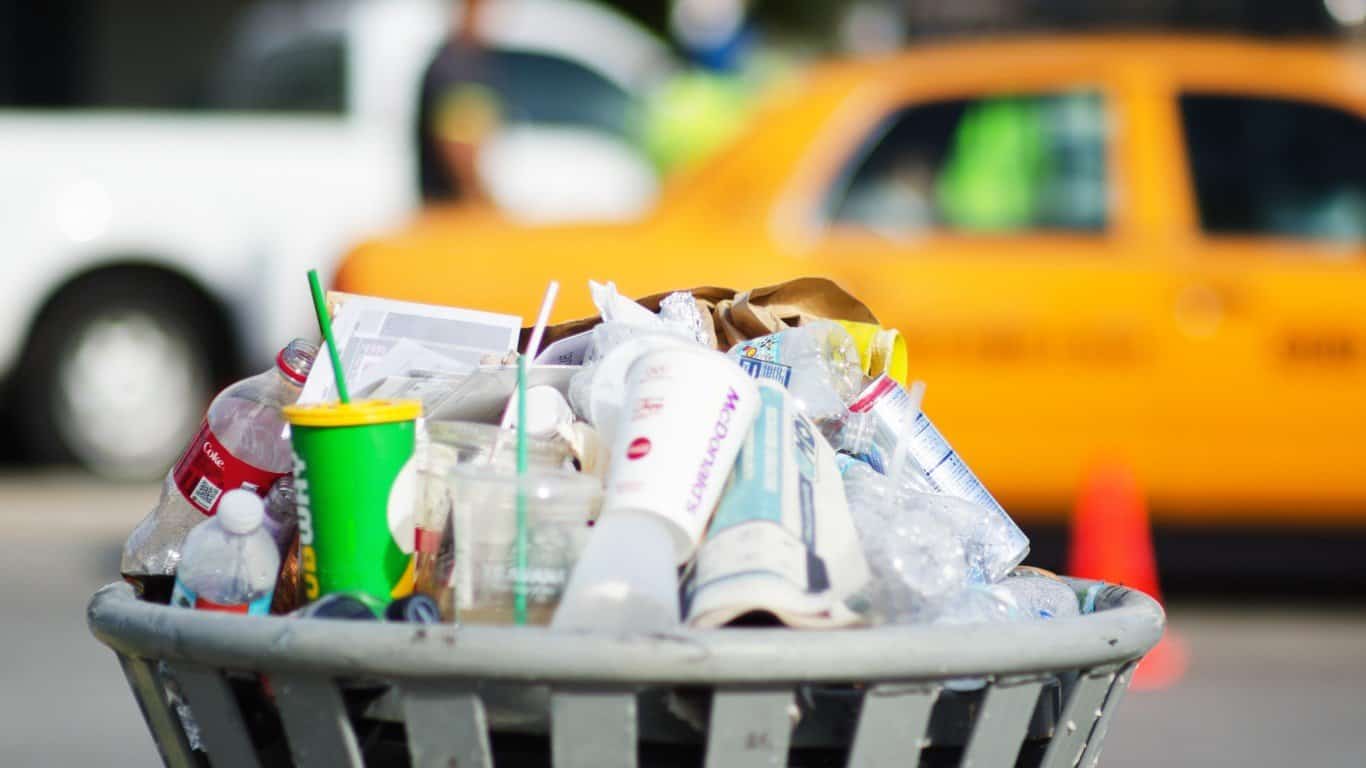 Plastic in Our Bodies