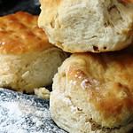 Buttermilk Biscuits