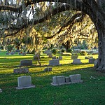 Maxdale Bridge and Cemetery (Continued)
