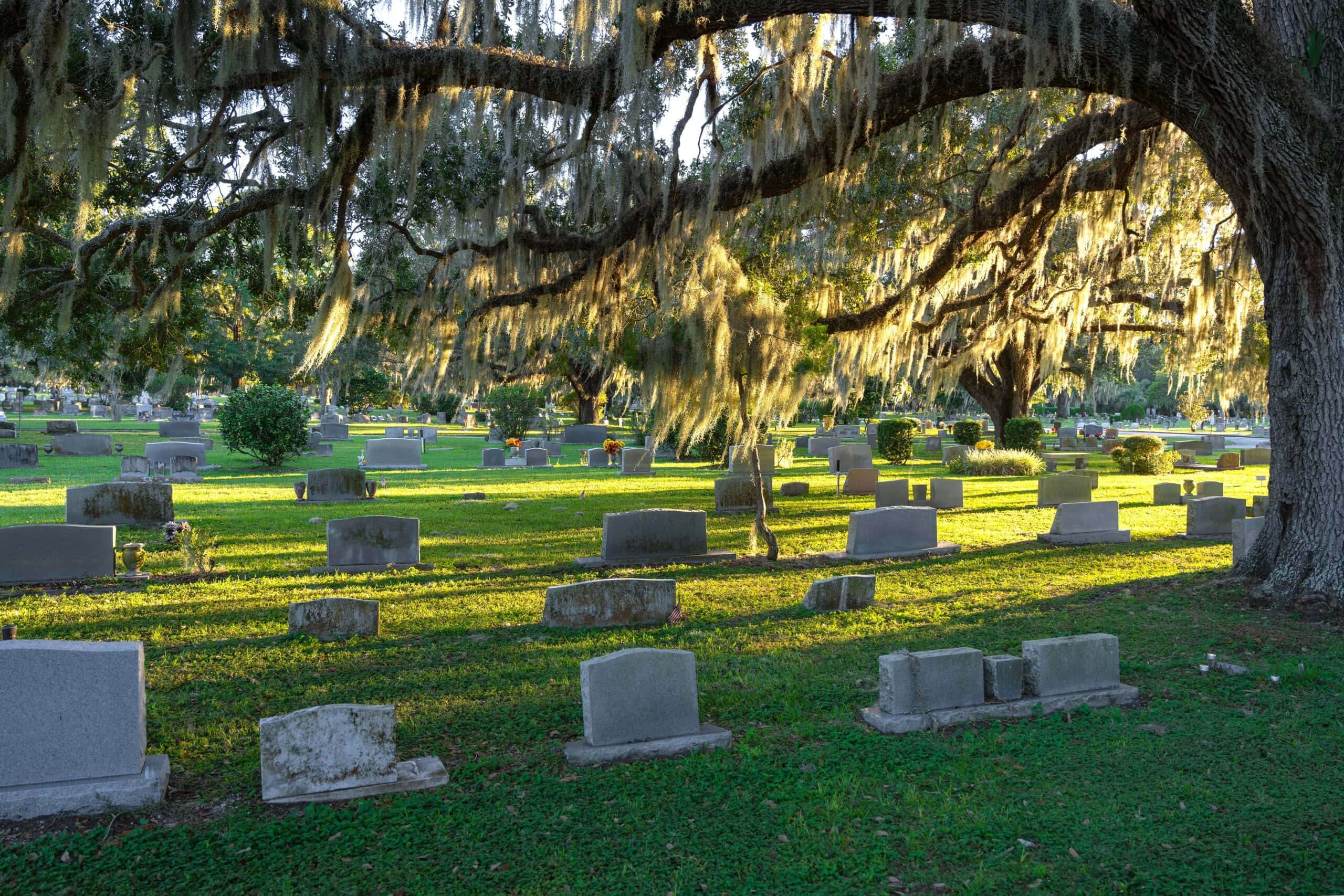 Maxdale Bridge and Cemetery (Continued)