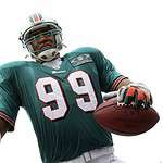 Miami Dolphins 2007 Season