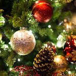Maine – Keeping Christmas Decorations Up Too Long
