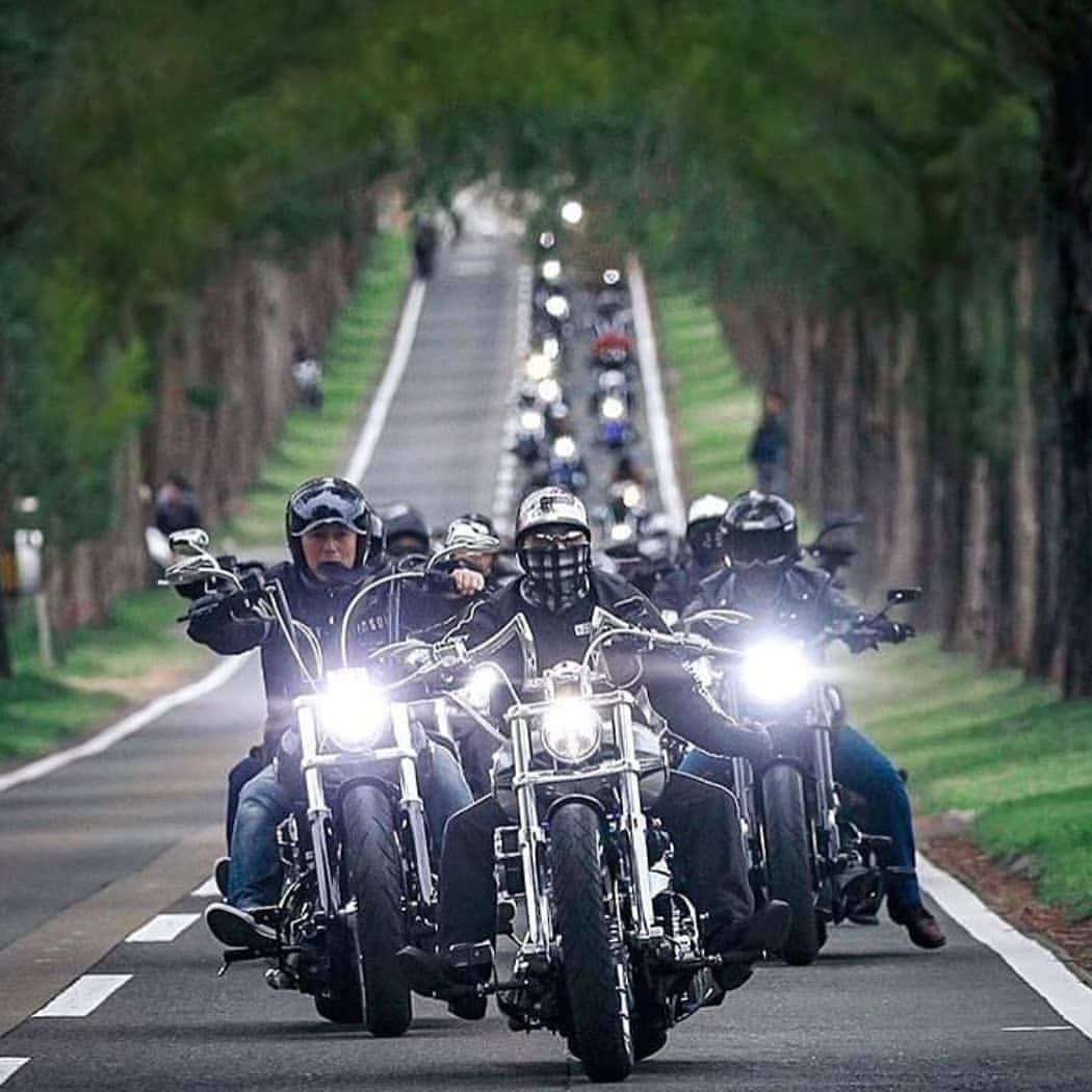 Sadistic Souls Motorcycle Club (continued)