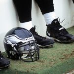 Cincinnati Bengals 2002 Season