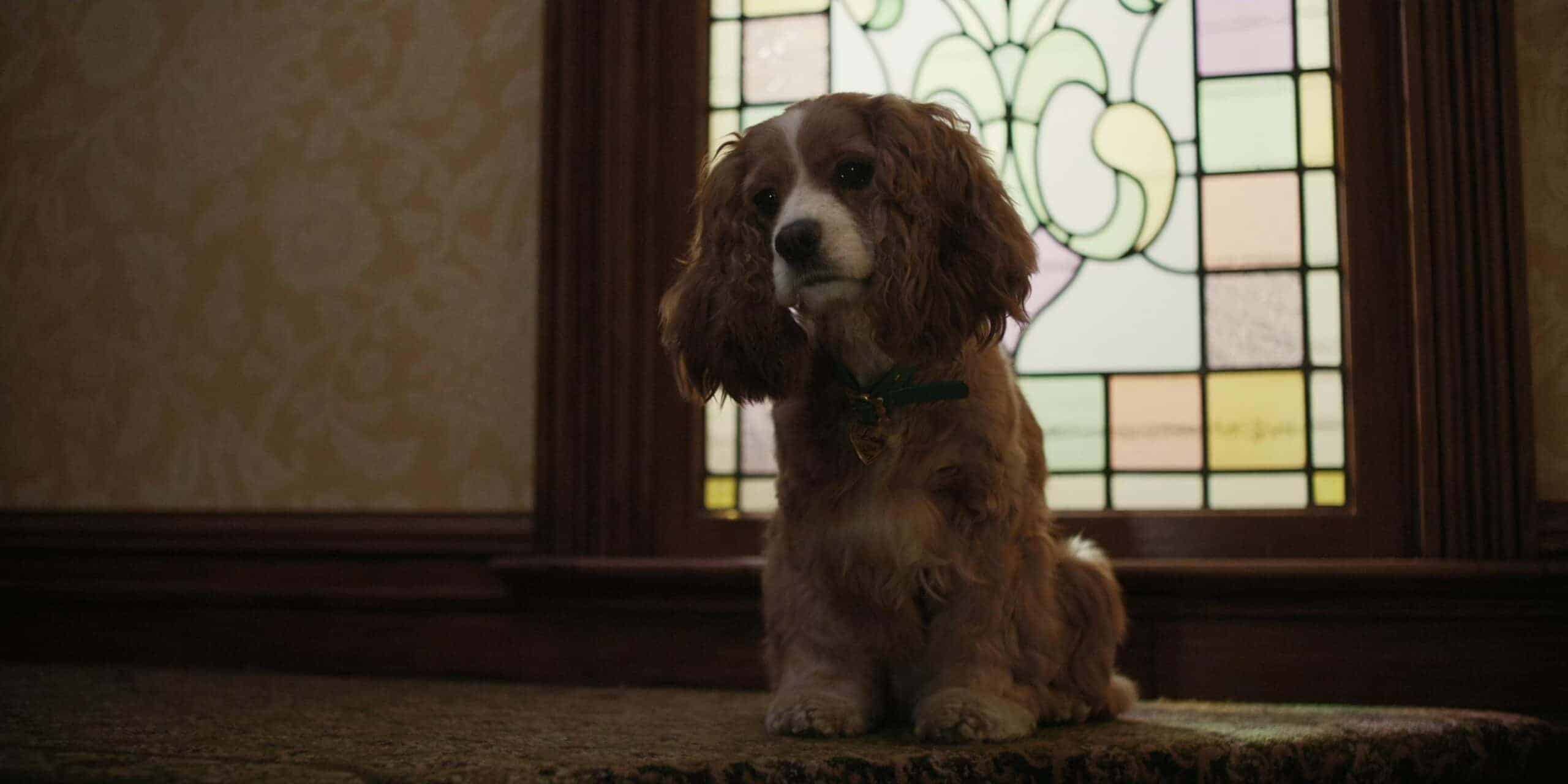 10. Lady and the Tramp (2019)